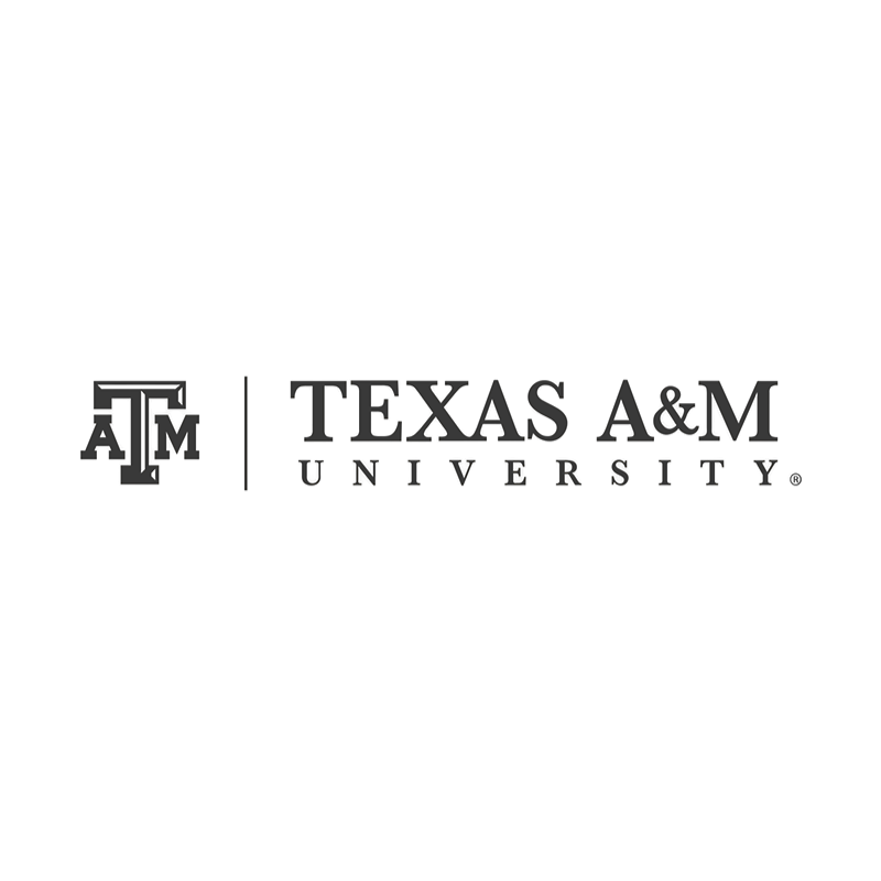 Texas A&M RAMI